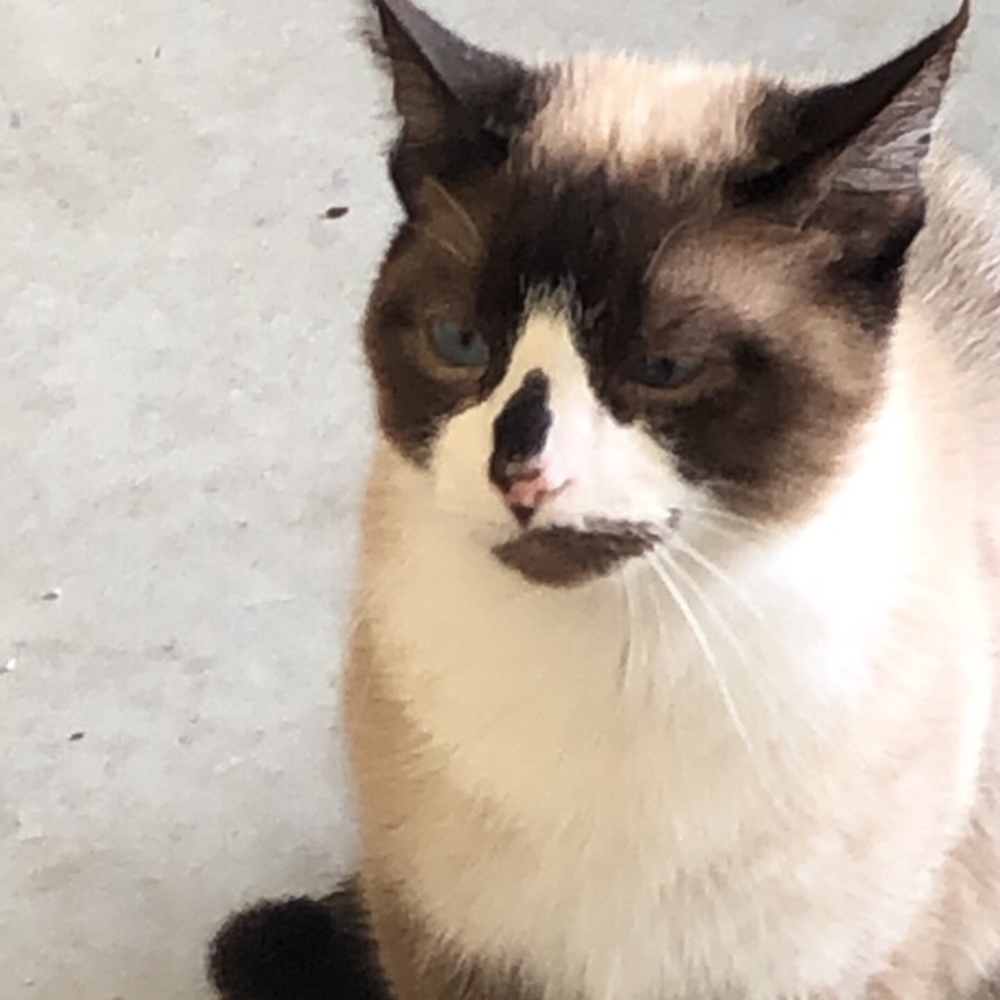 Meet your Posher, Gwen